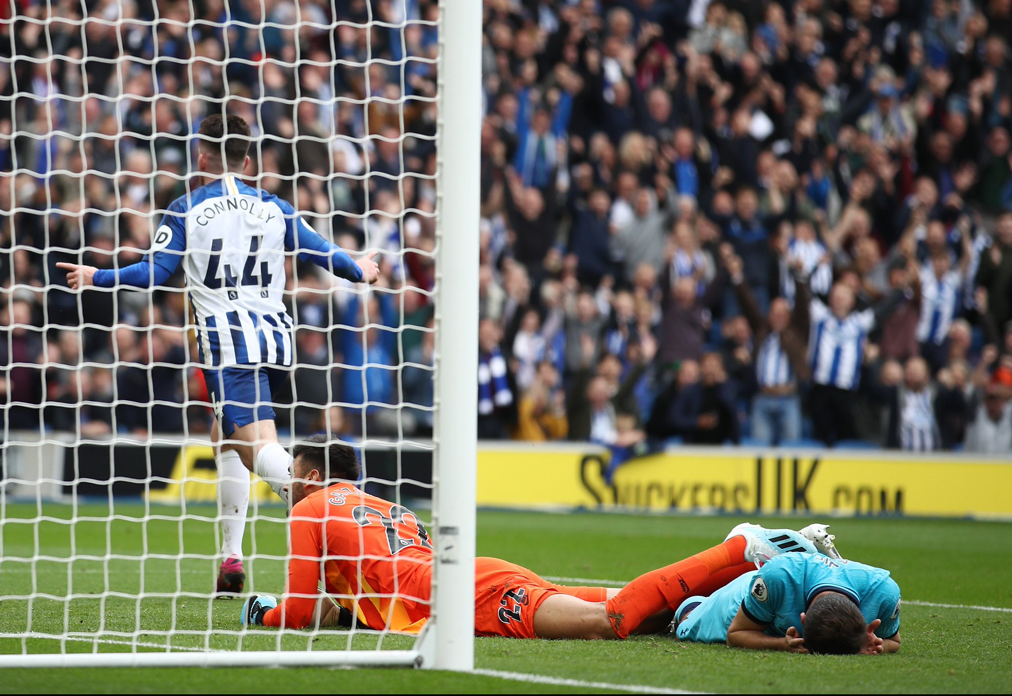 与博德闪耀 与博德闪耀